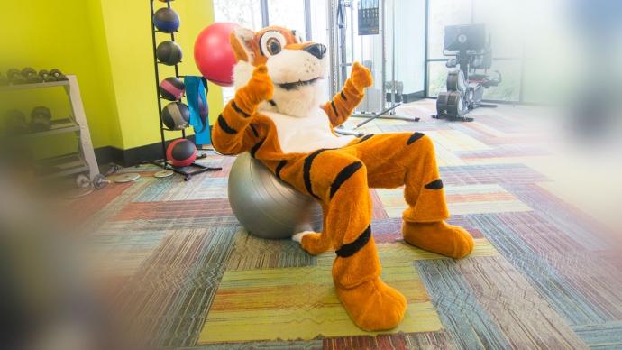 LeeRoy Mascot sits on an exercise ball in a home gym